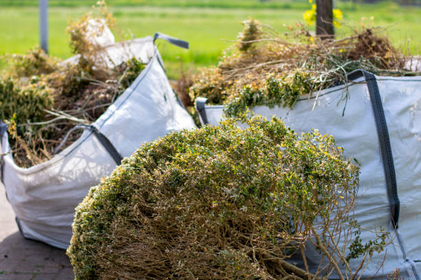 Best Yard Waste Removal  in Burlington, KY